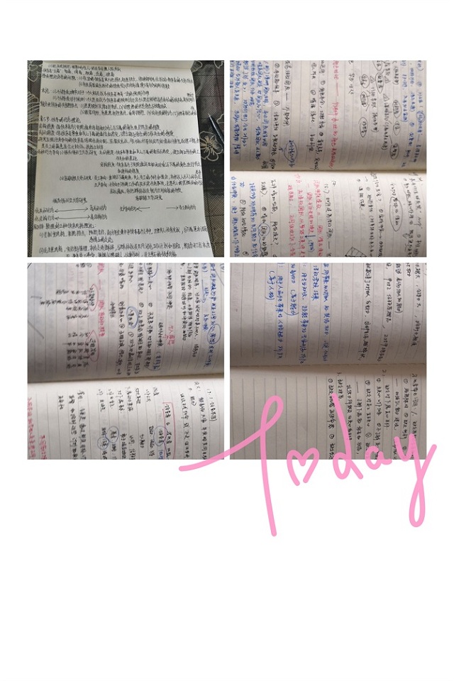 【学业导师在云端】邂逅线上读书时光
