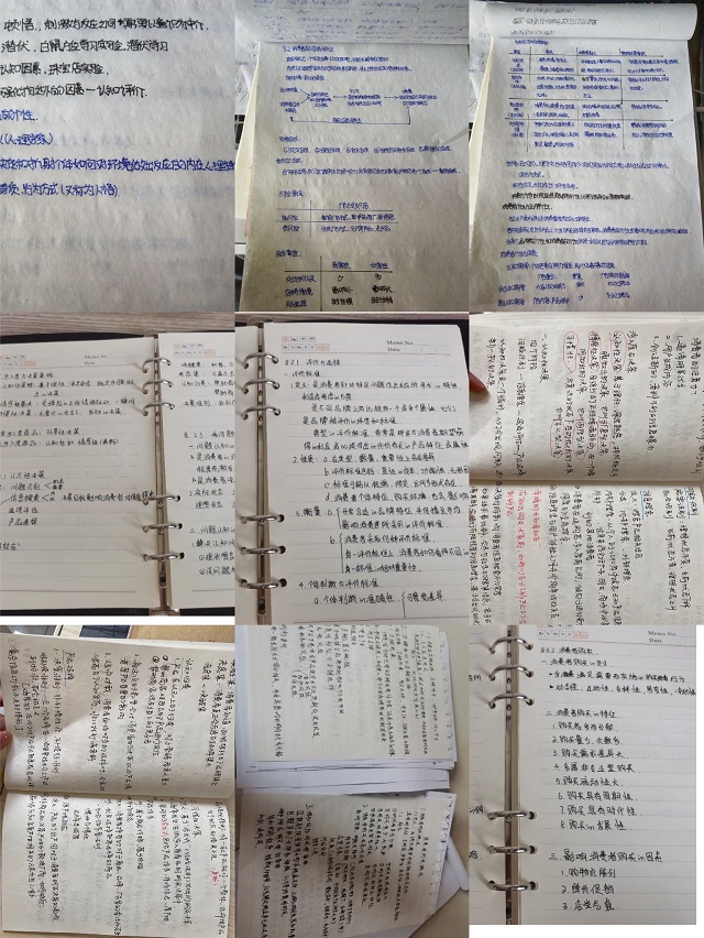 吴丽芳老师开展《消费者行为学》线上公开示范课